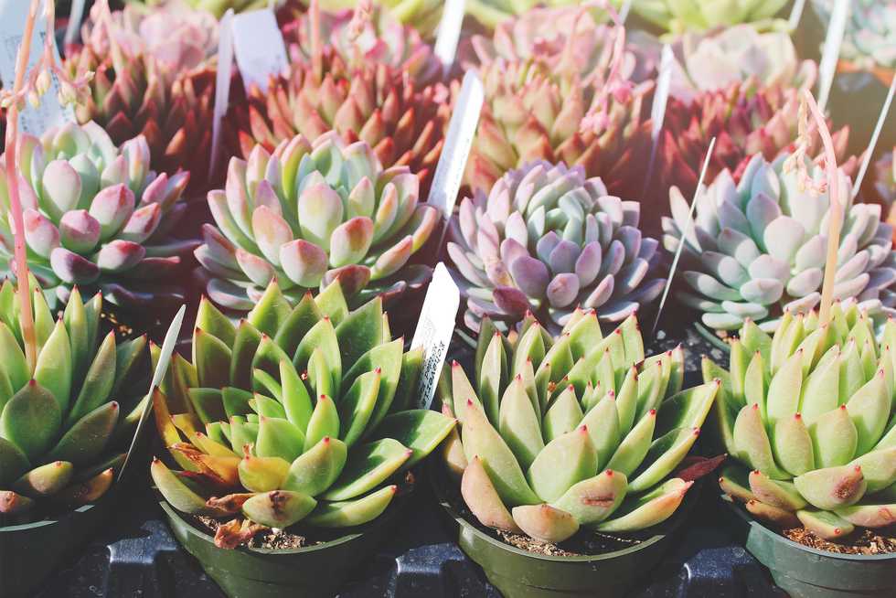 An 8-Step Program To Get Out Of That Rut You're In