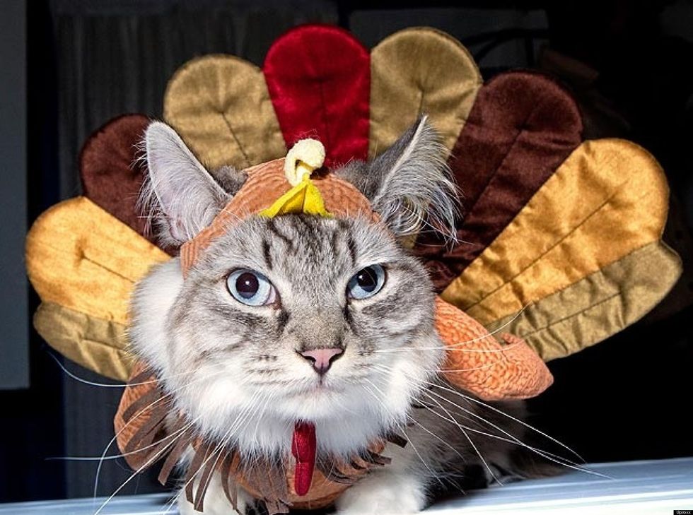 10 Reasons Why It's Time To Wait Impatiently For The Holiday Feast