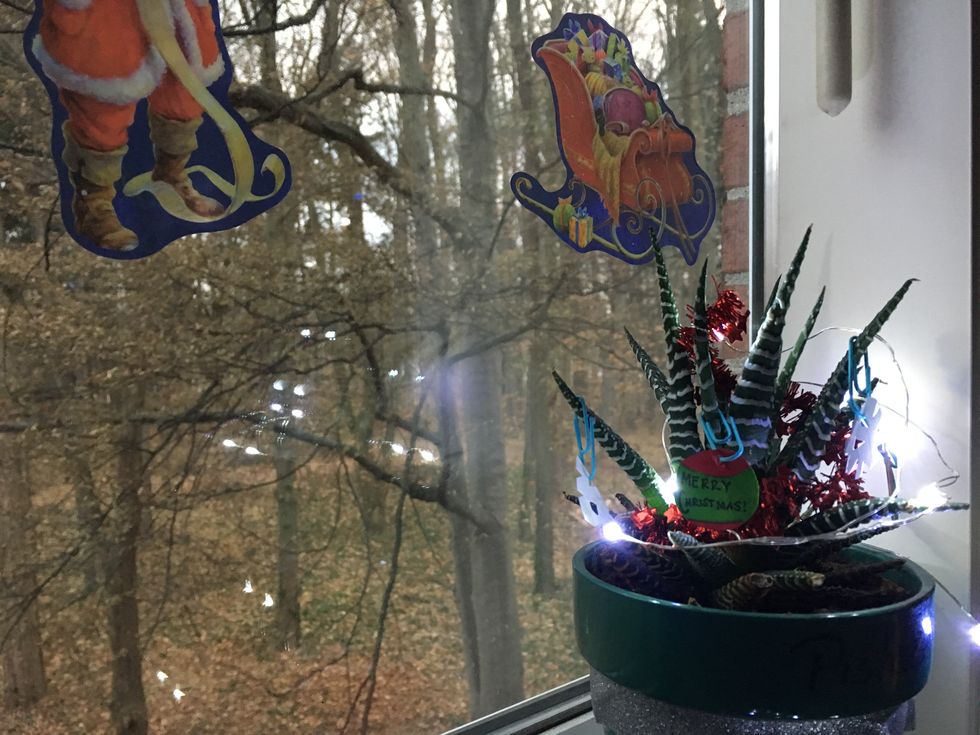 How to Bring Christmas to College