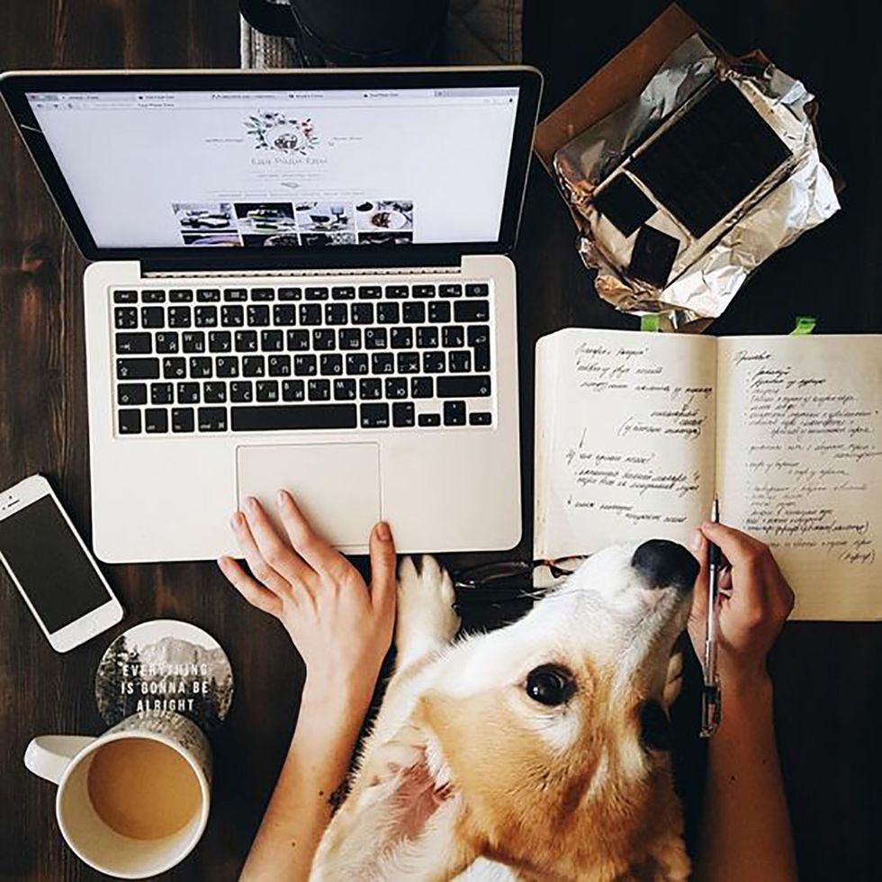 10 Tips To Survive Finals Week | The Odyssey Online
