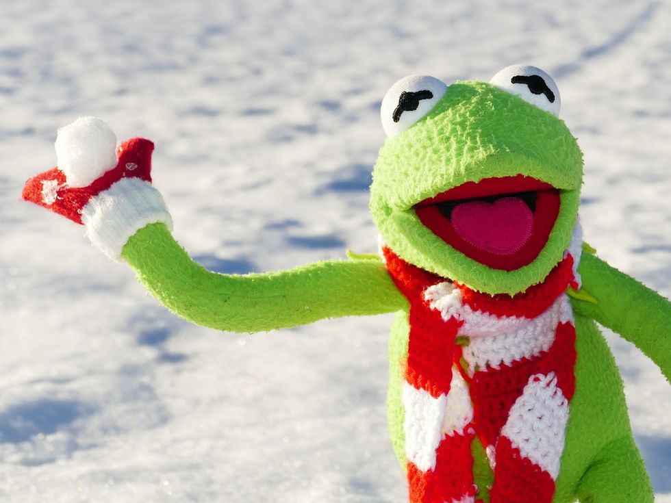 The End Of The Semester As Told By Kermit The Frog
