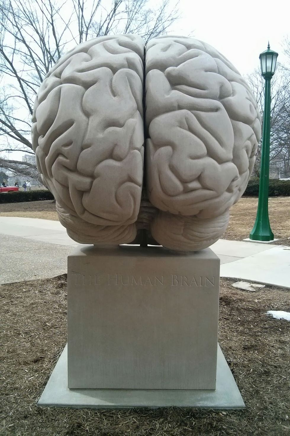 The Creation of a Mind: True Art