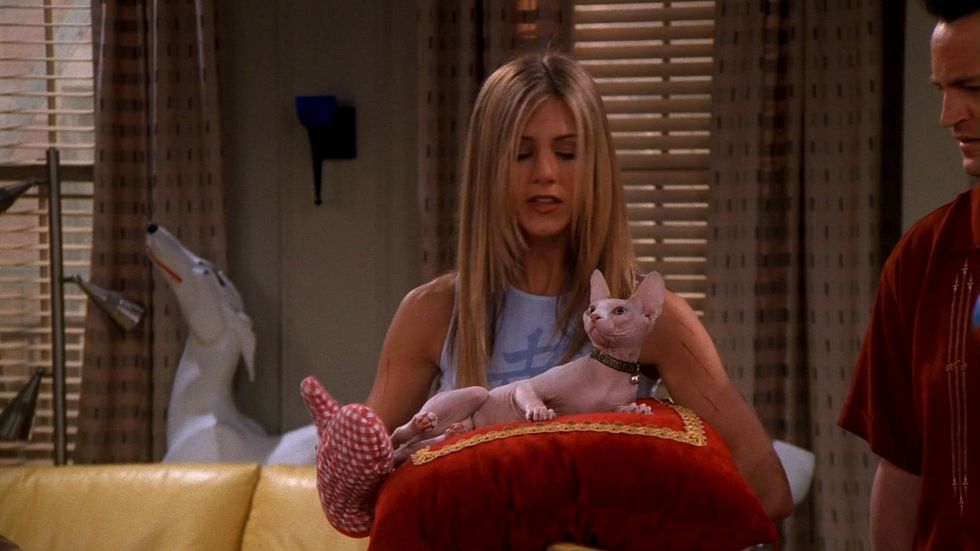 9 Thoughts Rachel Green Perfectly Described Women's Thoughts On Finding A Gift For Men