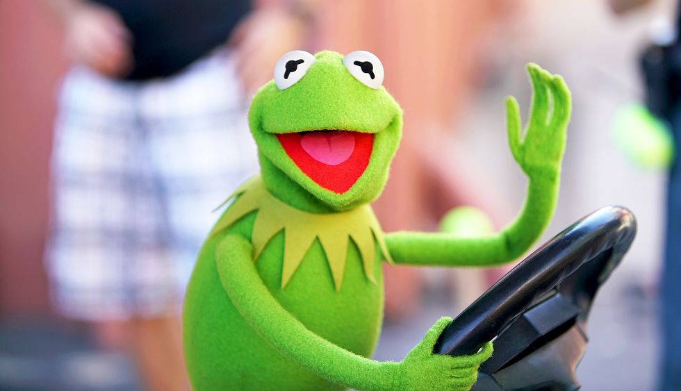 Barely Surviving Finals Week As Told By Kermit The Frog