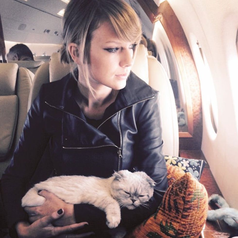 How Taylor Swift's Life Looks Like Yours