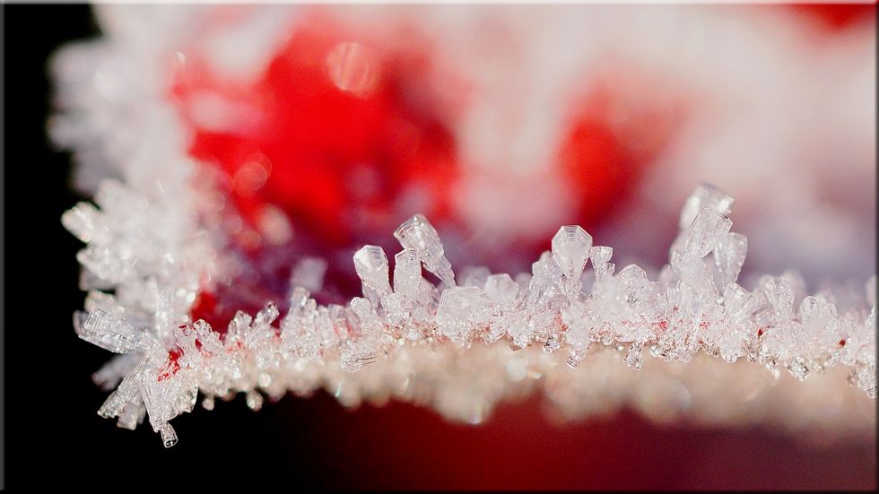 A Thank You Letter To My Second Love