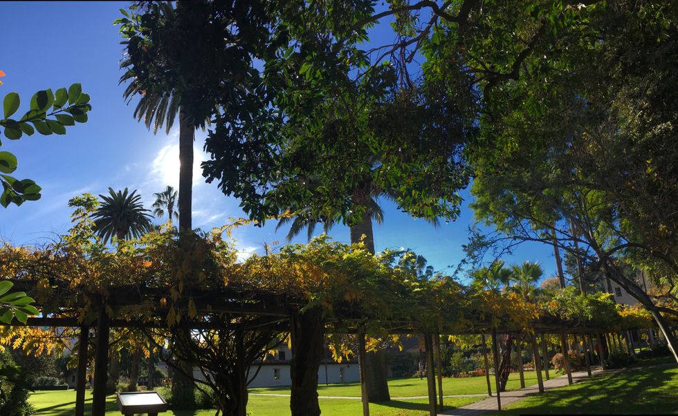 8 Places To Study At SCU If You're Into The Outdoors