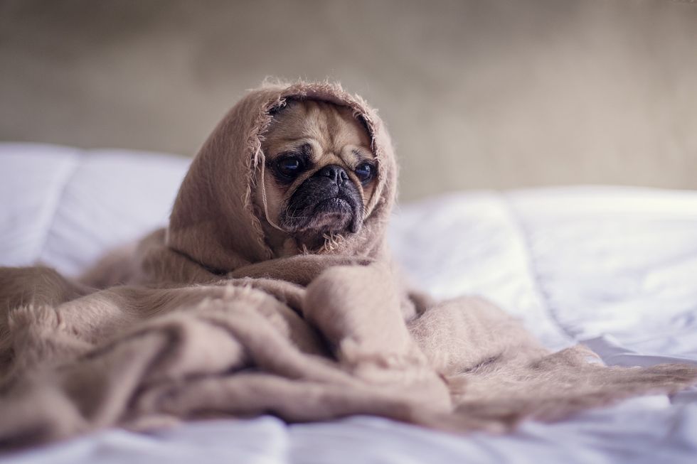 8 Stages Every Non-Morning Person Goes Through When Waking Up