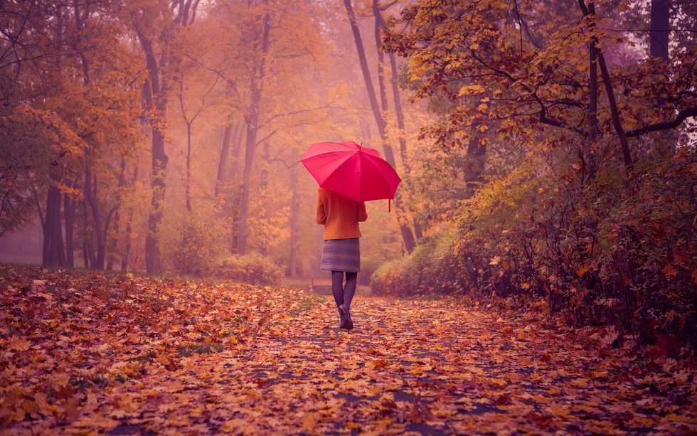10 Confessions Of An Introvert