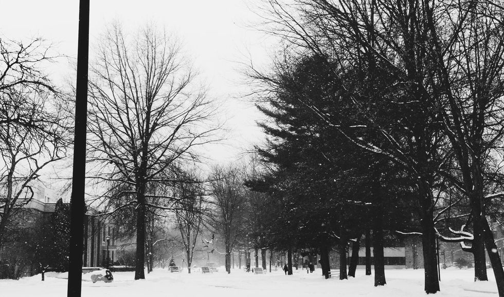 A Toast To The Voices Inside My Head