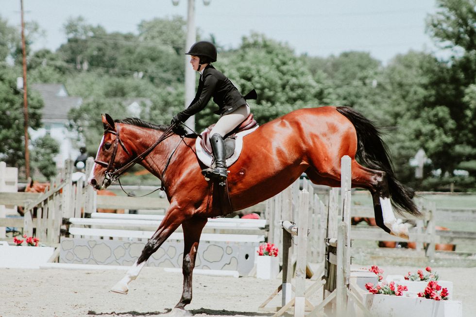 10 New Years Resolutions For Equestrians