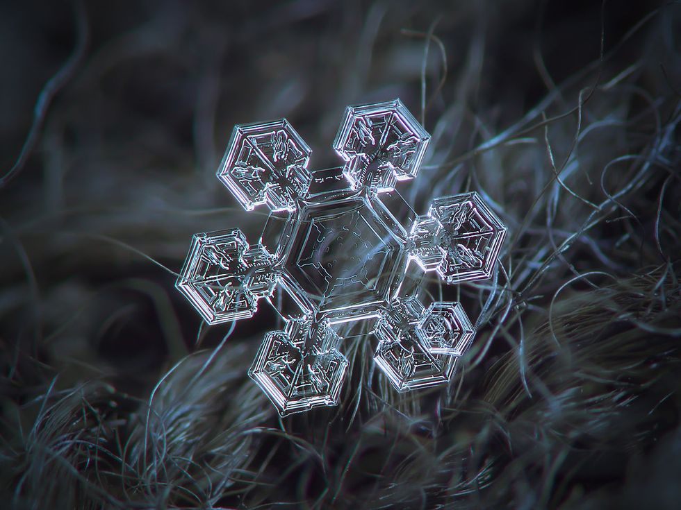 Poetry On Odyssey: The Snowflake