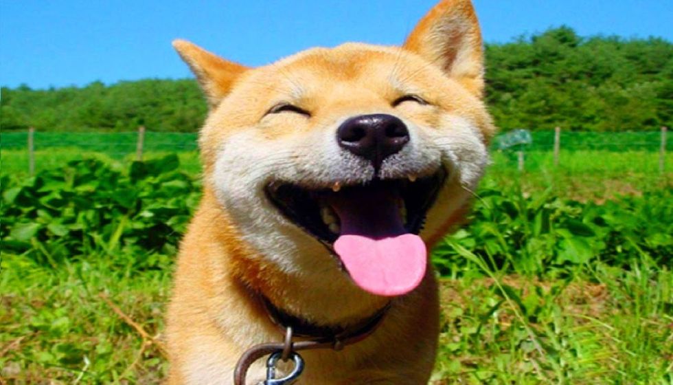 7 Simple Things To Help You Get Through Finals