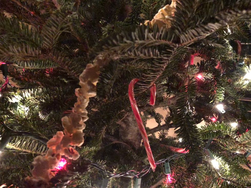 Holiday Traditions That Change As You Get Older