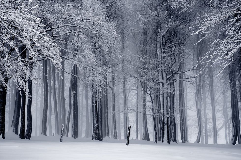 5 Reasons Why Winter Is The Absolute Worst