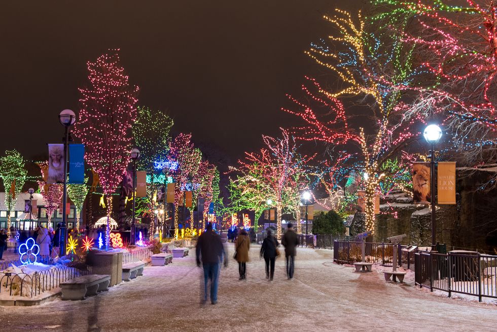 8 Christmas-Themed Activities To Prioritize In Chicago