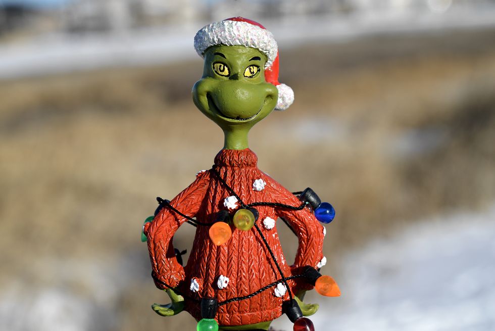 The Grinch Stole Christmas, But He Also Saved It — From Consumerism