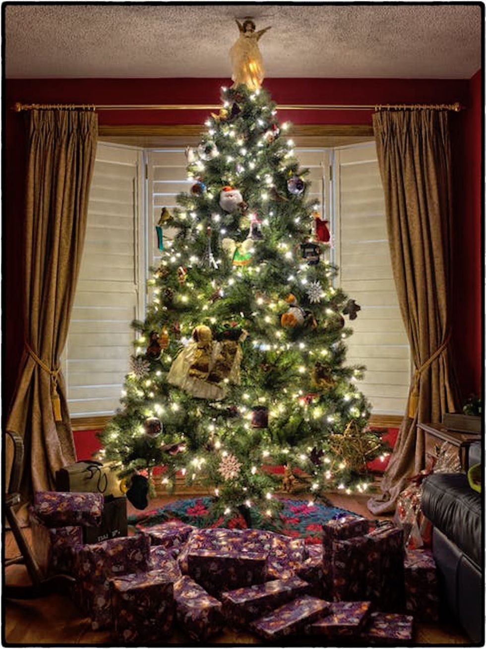 Why Everyone Needs A Real Christmas Tree