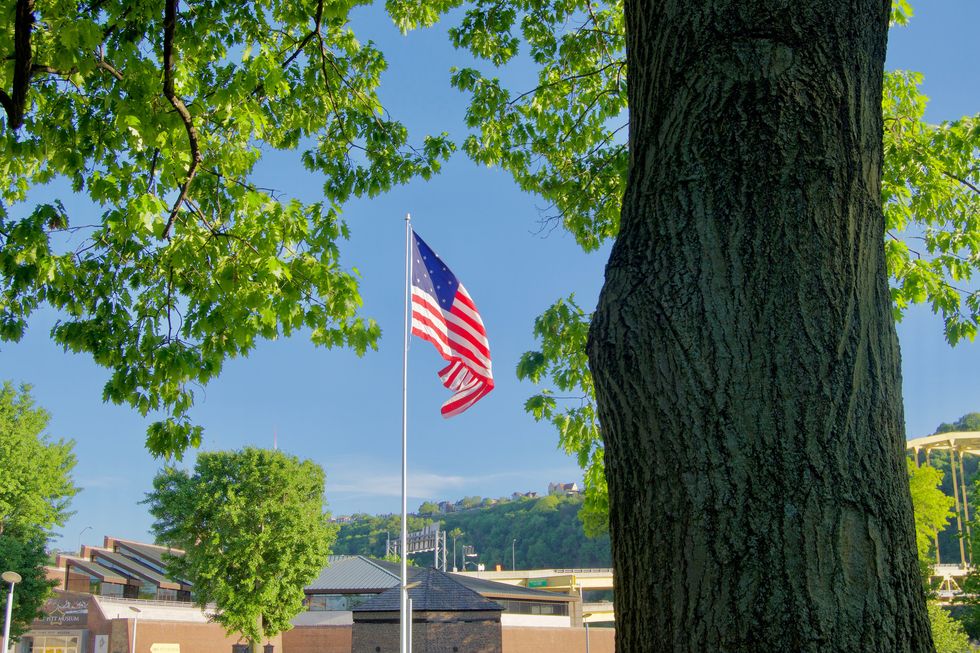 Poetry On Odyssey: Victors