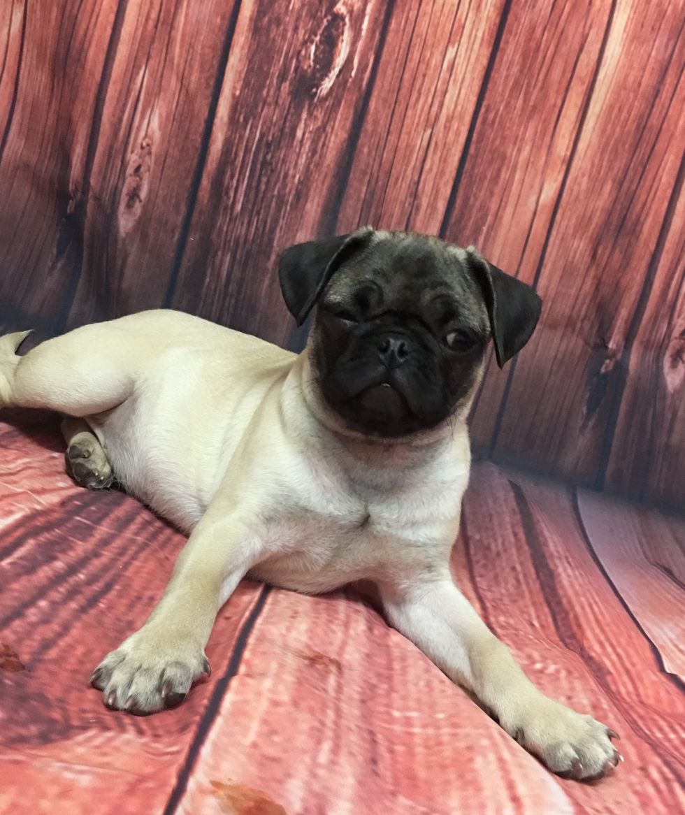 HELLO, ANYONE THERE?