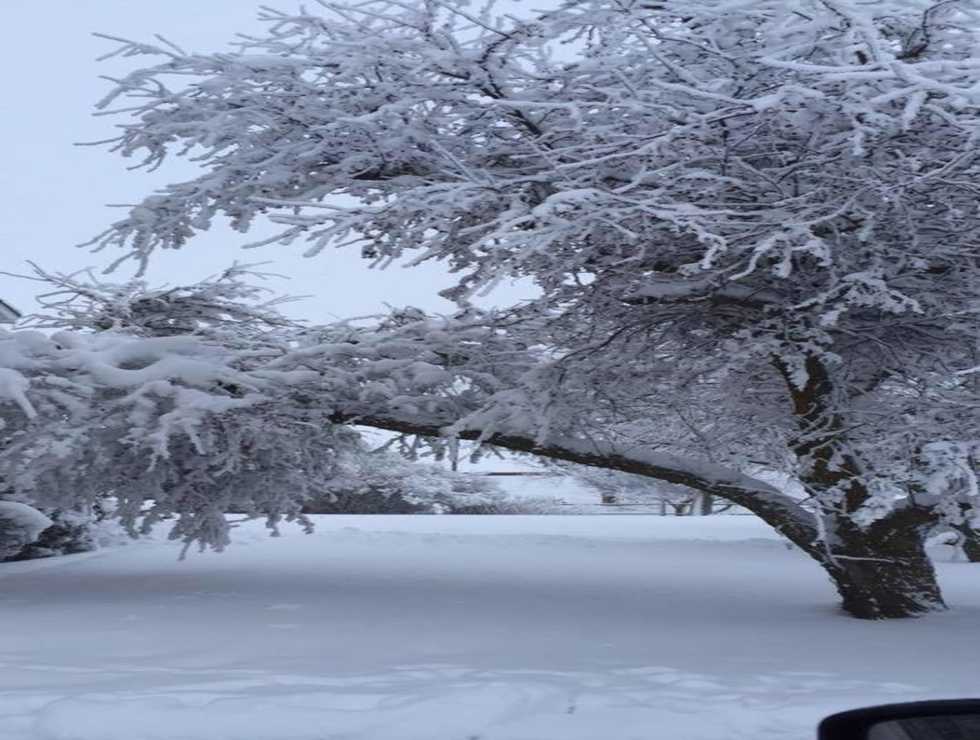 My Love/Hate Relationship With Snow