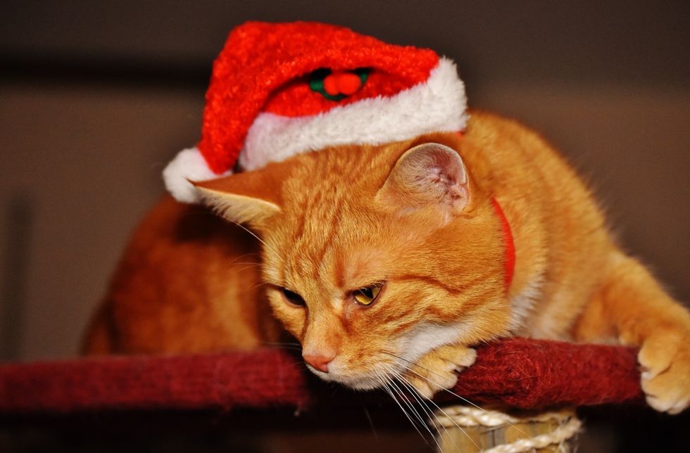 12 Things That Go Wrong On Christmas Day