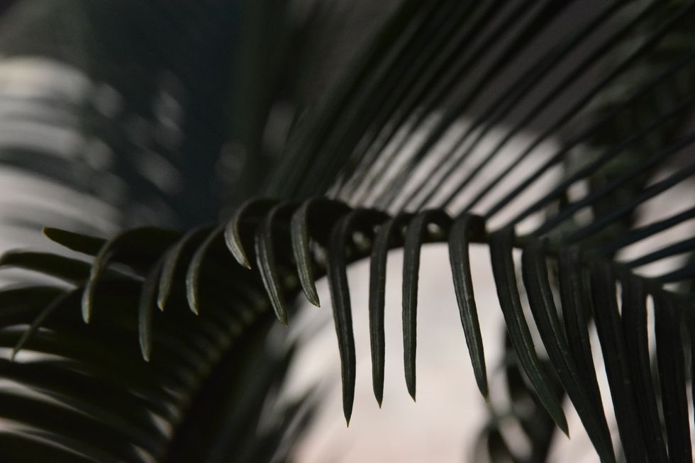 The Novel Ideas in Seattle