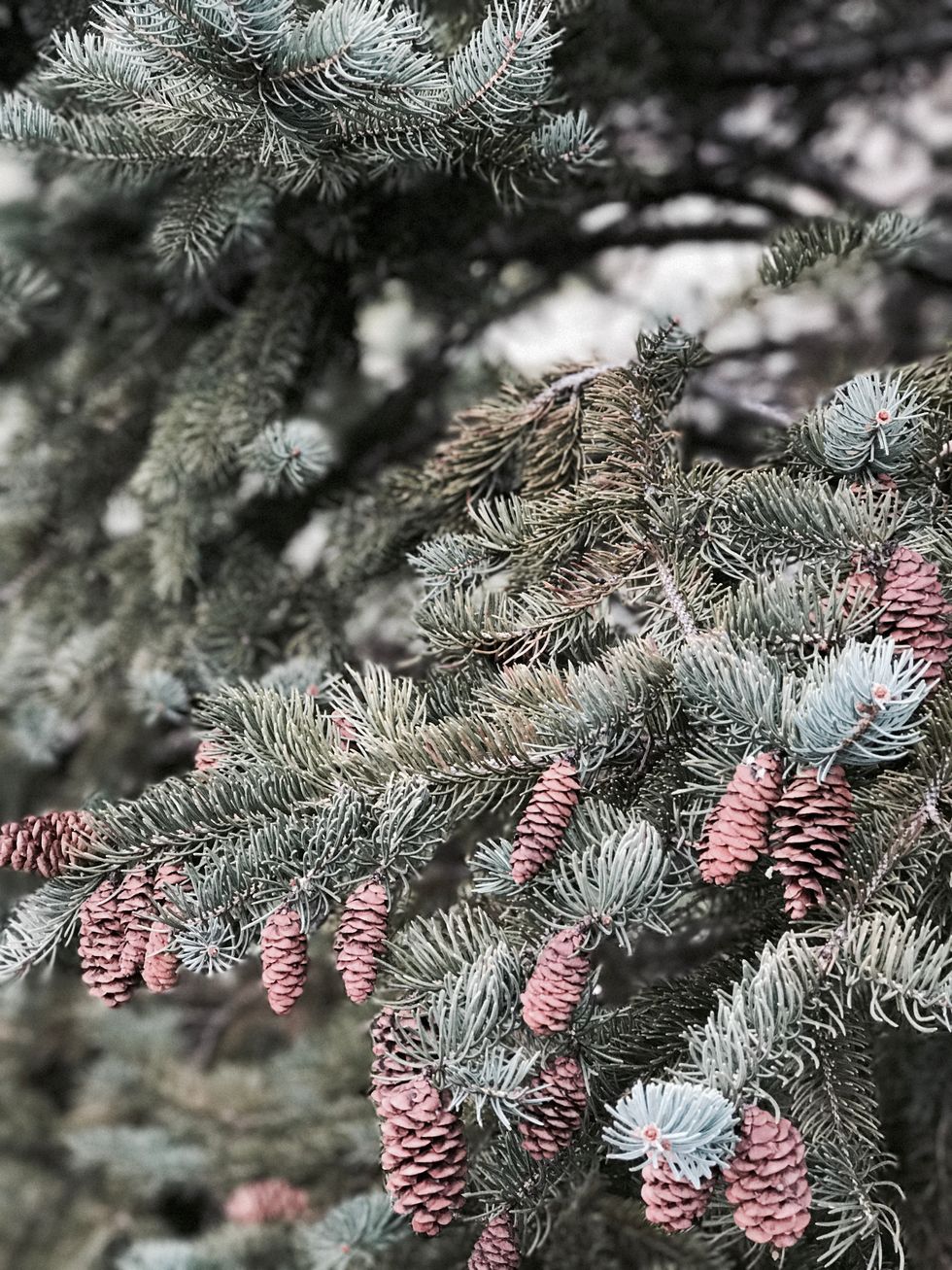 4 Things That Happen When Home For The Holidays