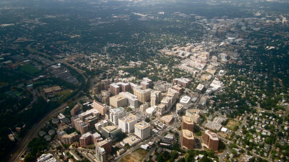 A Beltway Boy Comes Home