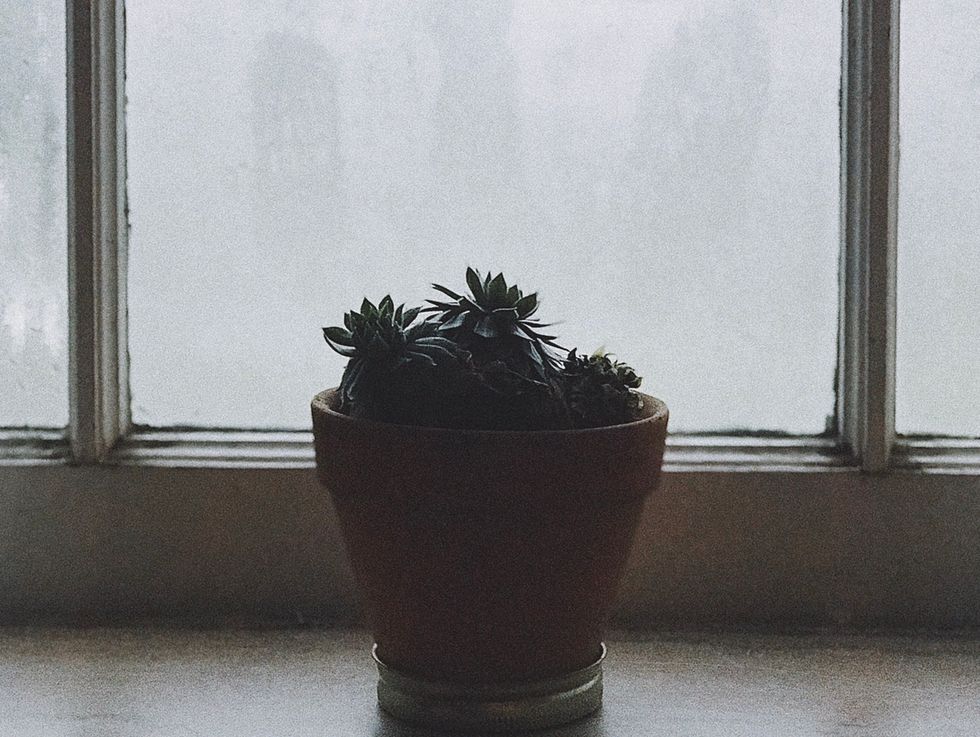 A Thoughtless Winter