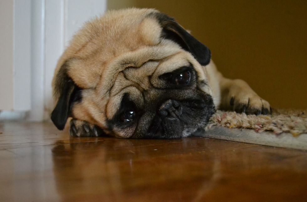 11 Signs Your TA is The Worst