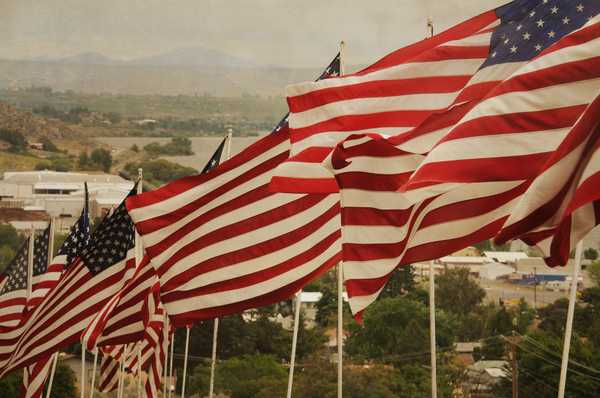 Poetry On Odyssey: Christmas Greetings