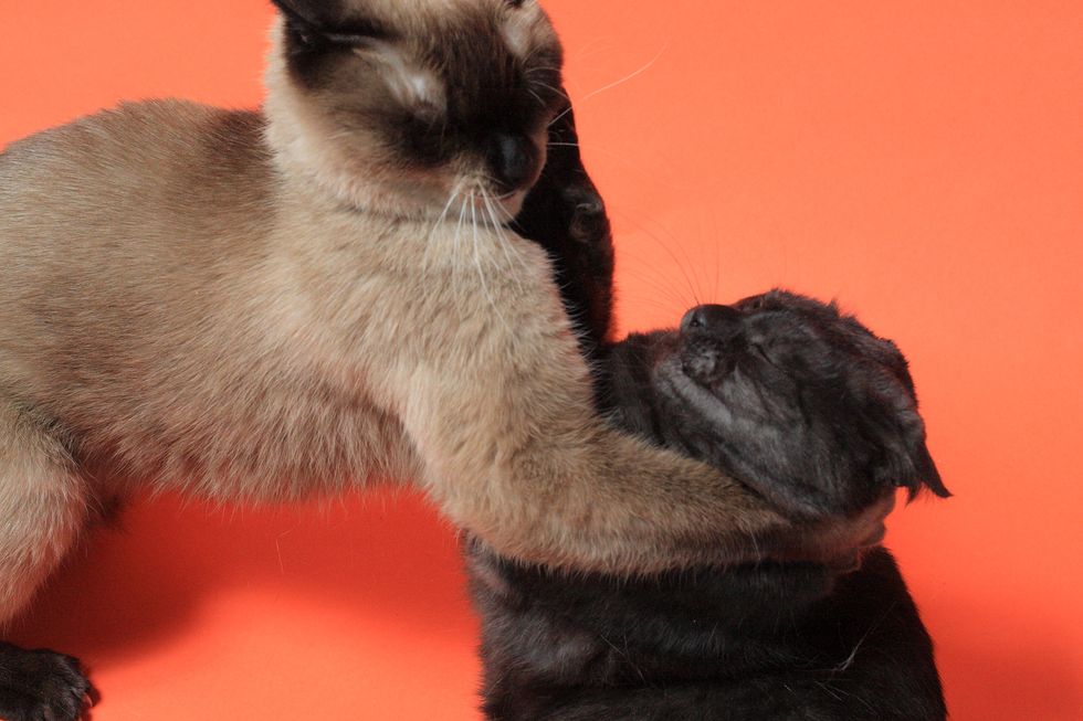 The Bittersweet But Honest Truth About Ending A Friendship