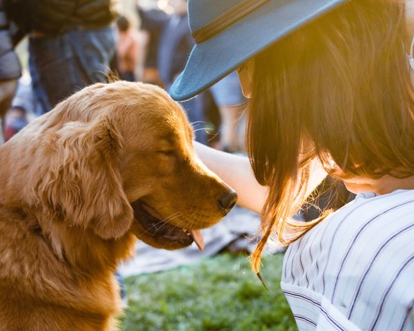 Puppy Rooms: Why College Campuses NEED Pet Therapy Programs