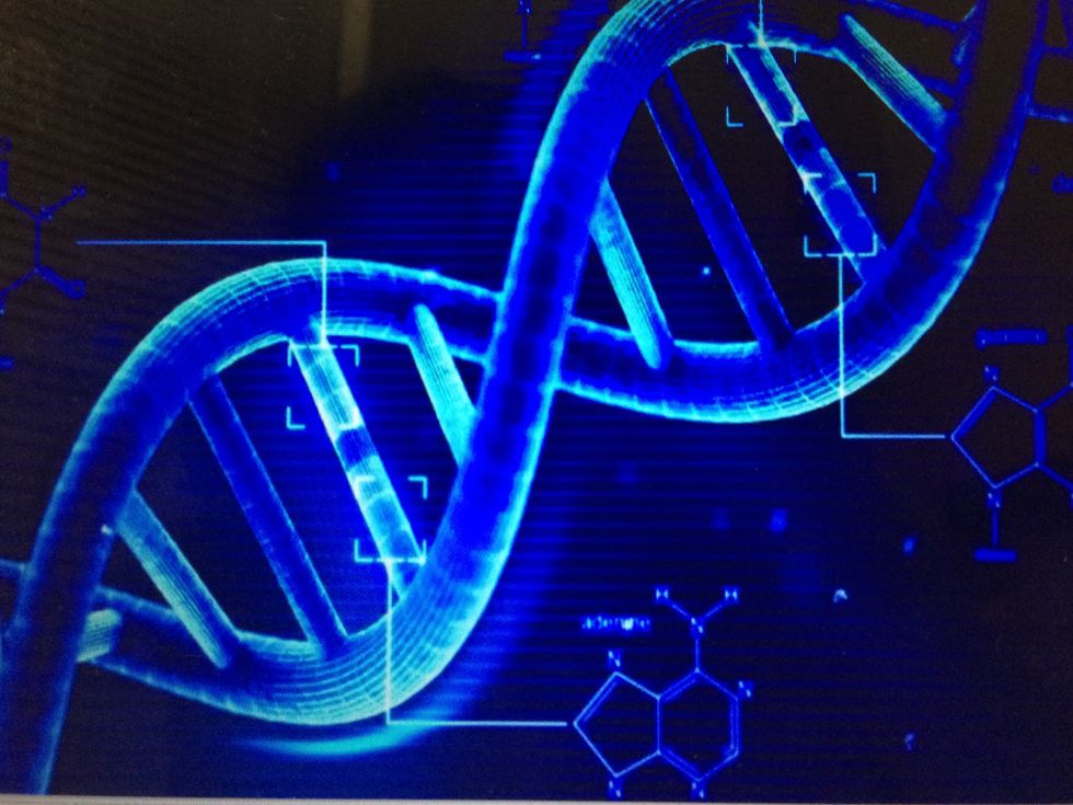 Why Biomedical Engineering?