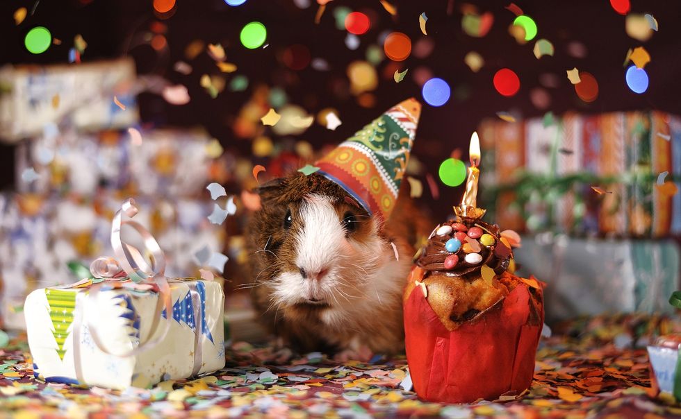 11 Struggles Of Having A December Birthday