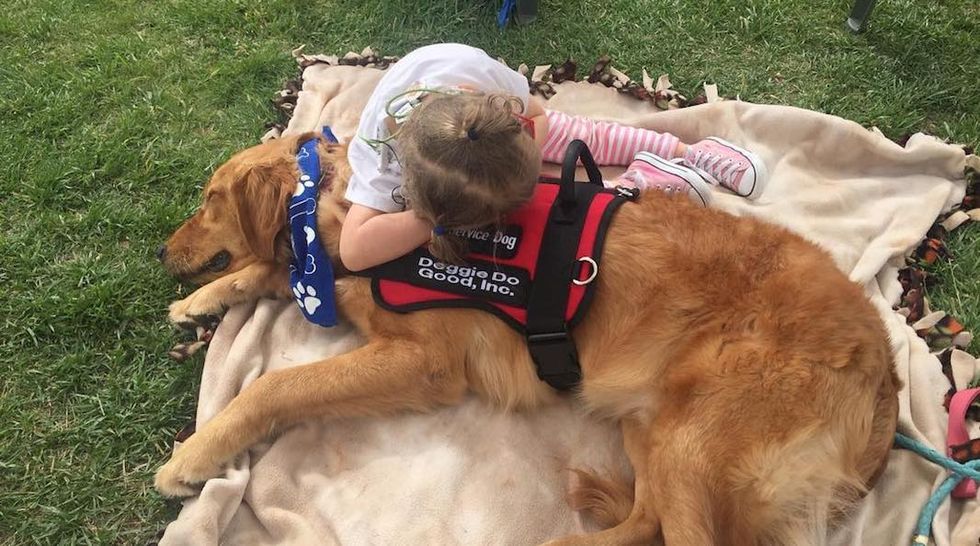 12 Struggles Of Life With A Service Dog