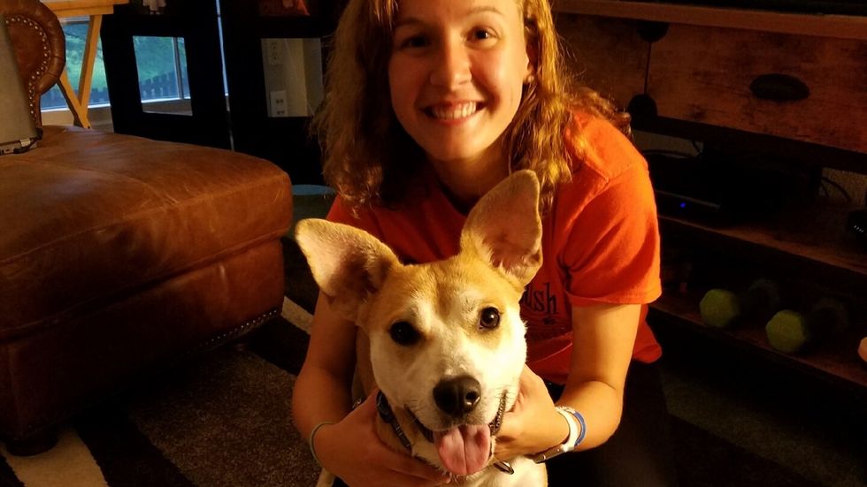 Why Dogs Truly Are The Best