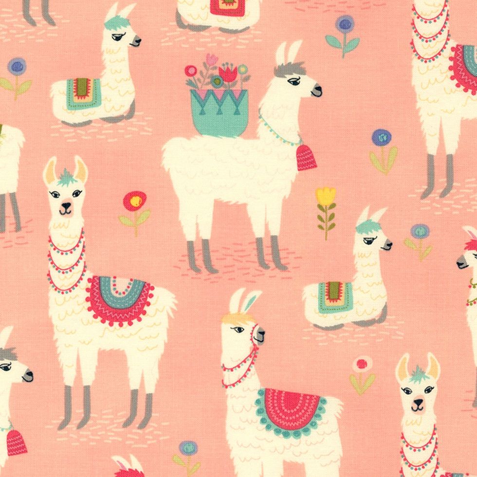 5 Llama Products For The Llama Lover In Your life