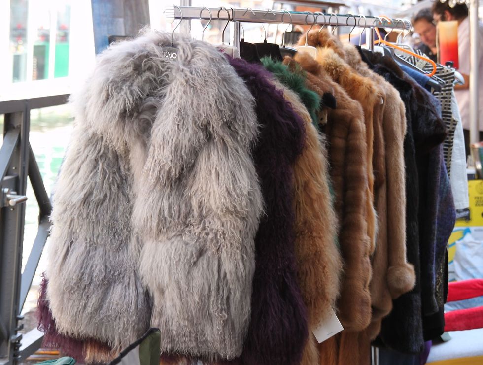 Fur: How Is It Still A Thing?