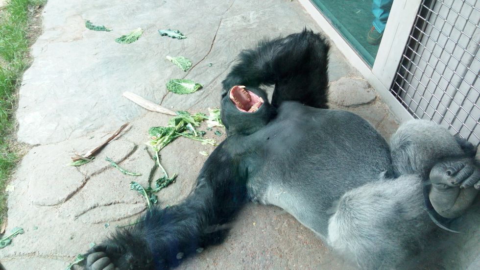 5 Things To Do When You Don't Know What To Do