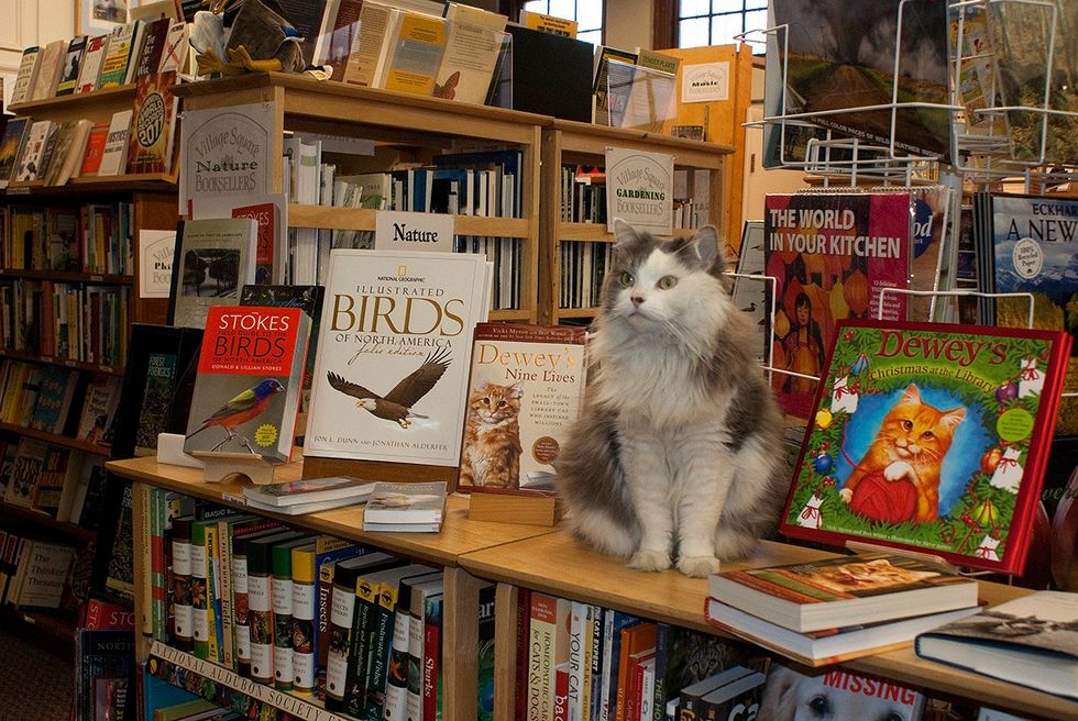 7 Impacts Literature Should Have In Your Everyday Life