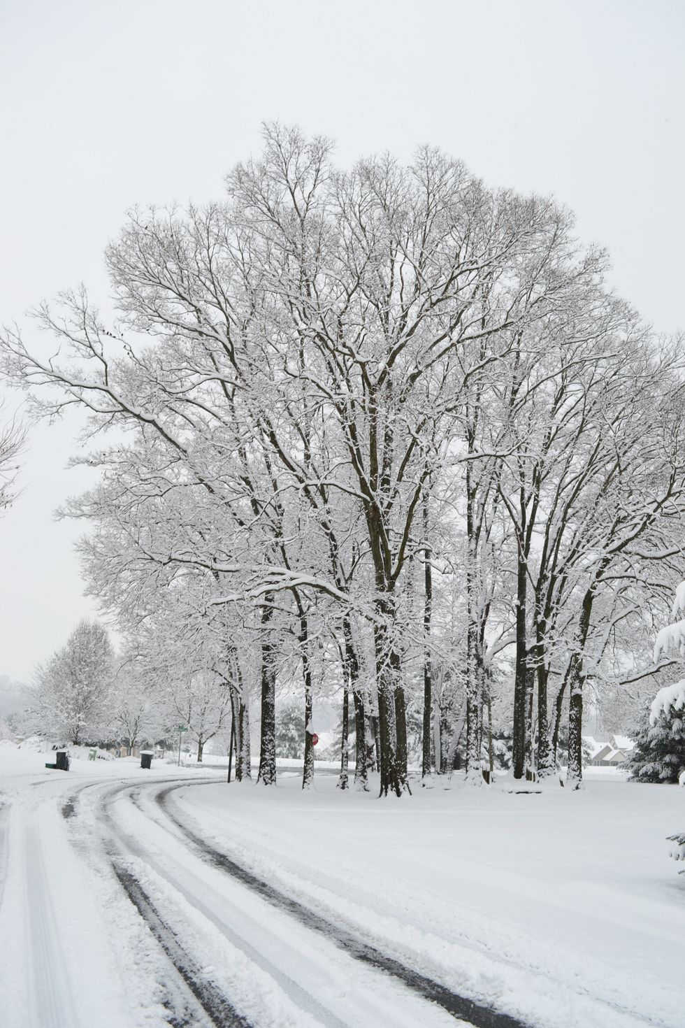8 Things You Hear When You Hate Snow and Live in New England