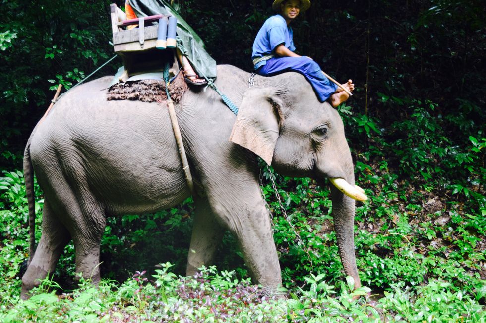 The Value In Traveling