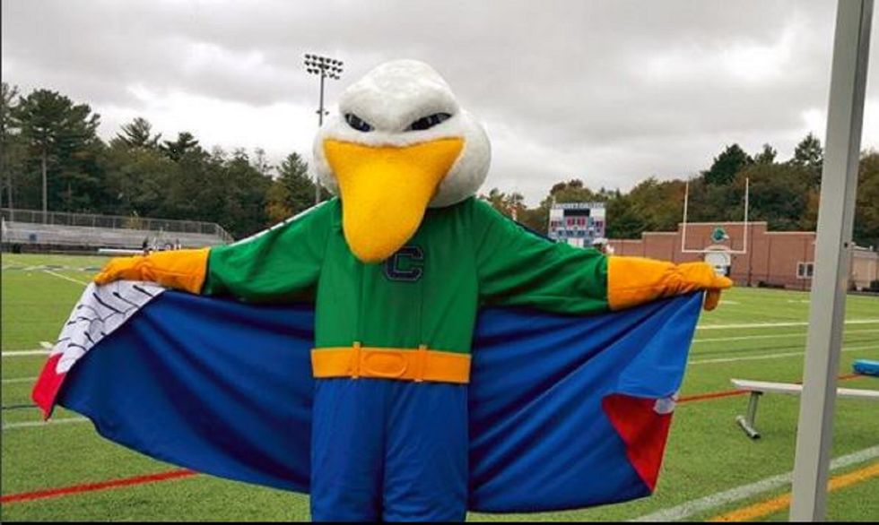 It's A Great Day To Be A Gull