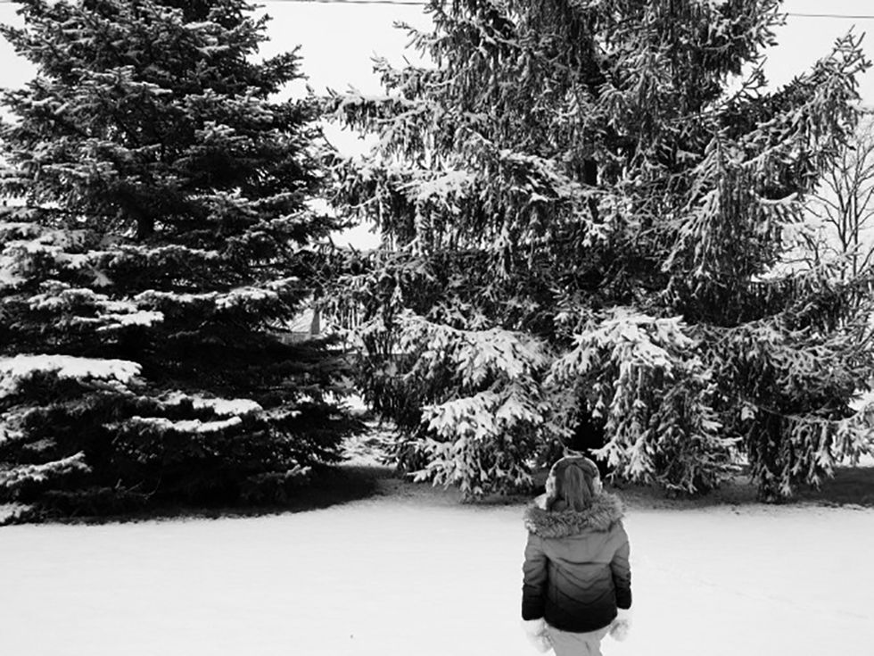 Winter Wonderland: A Descriptive Writing