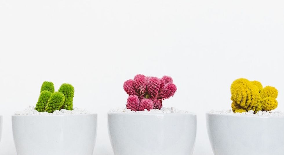 Minimalism And Green Living Are Actually The Same Thing