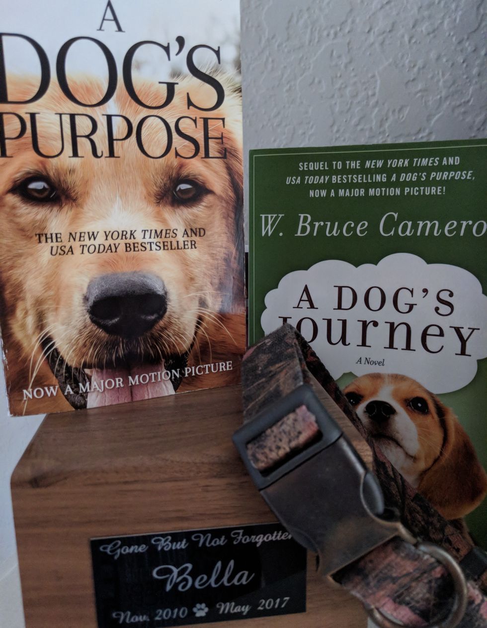 A Thank You Letter to W. Bruce Cameron