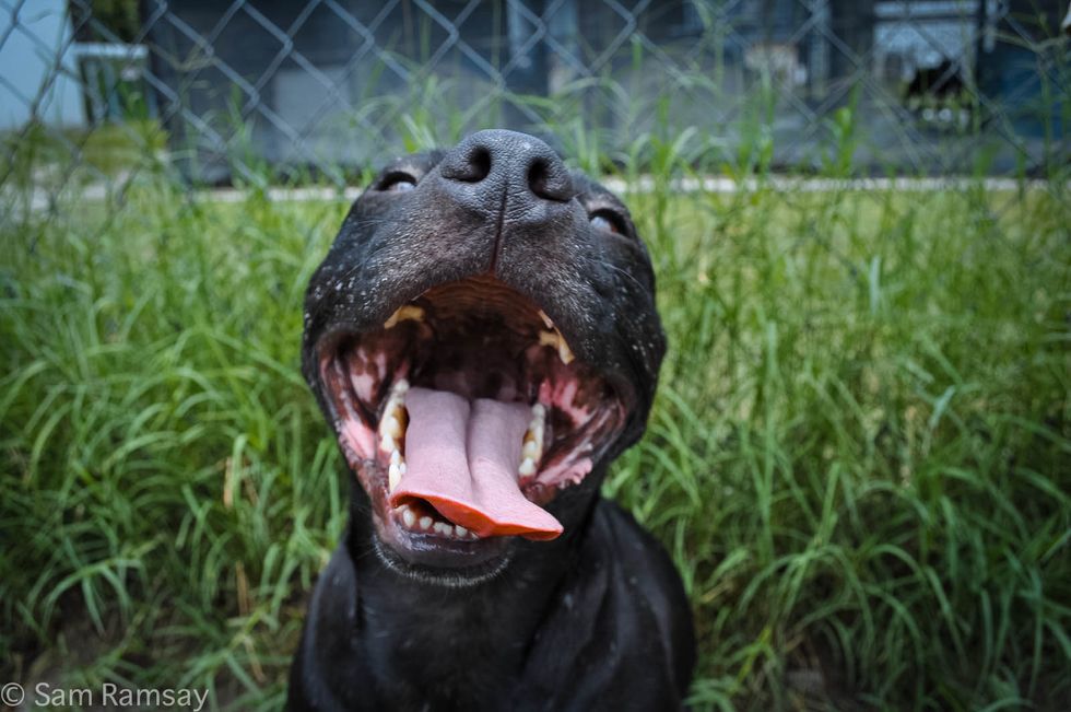 40 Things That Make Me Smile