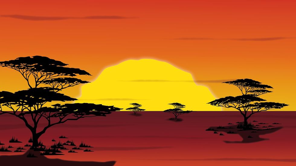 Life, As Told By 'The Lion King'